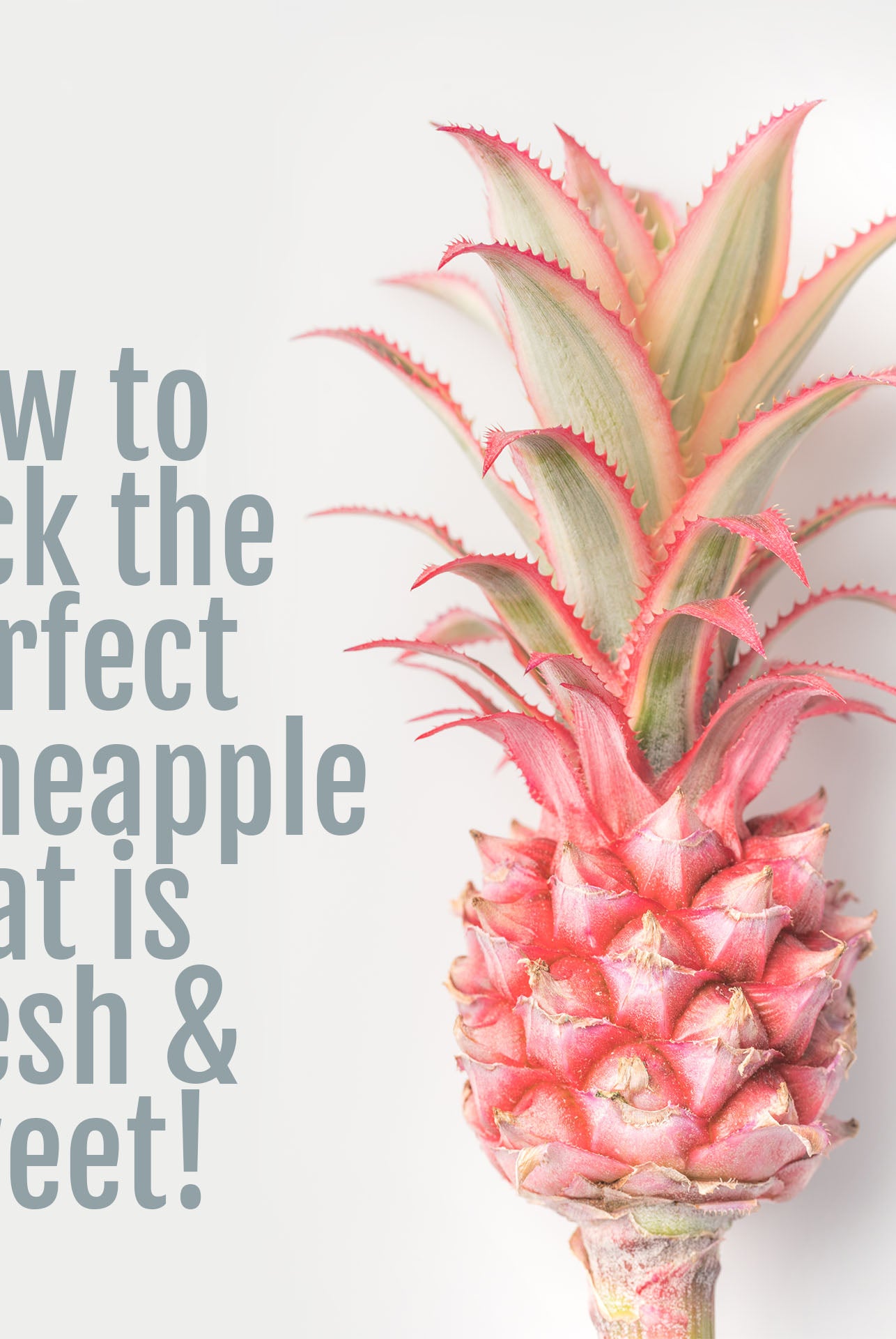 How To Pick The Perfect Pineapple 🍍