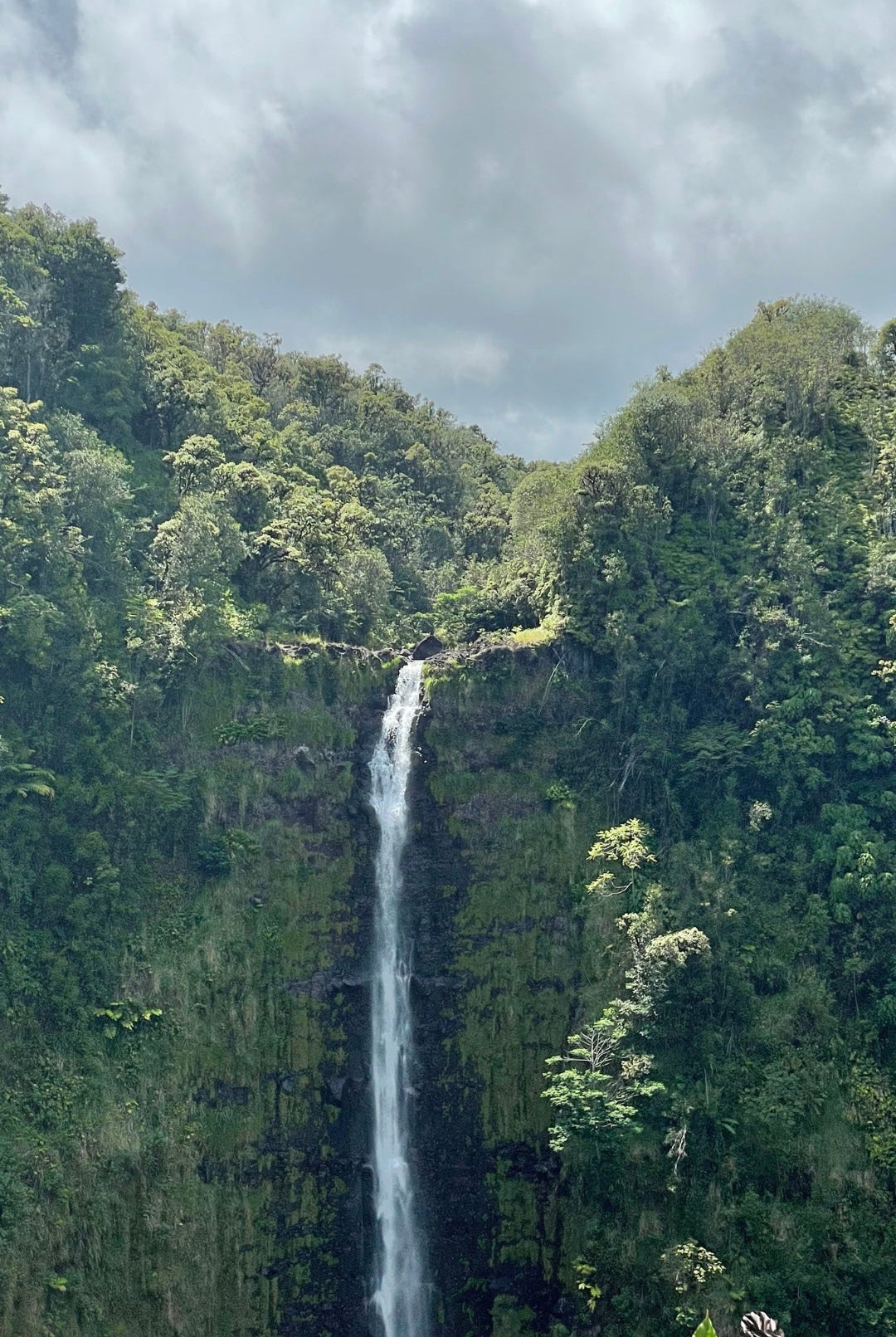 Ashley's photograph of a beautiful Hawaii waterfall.