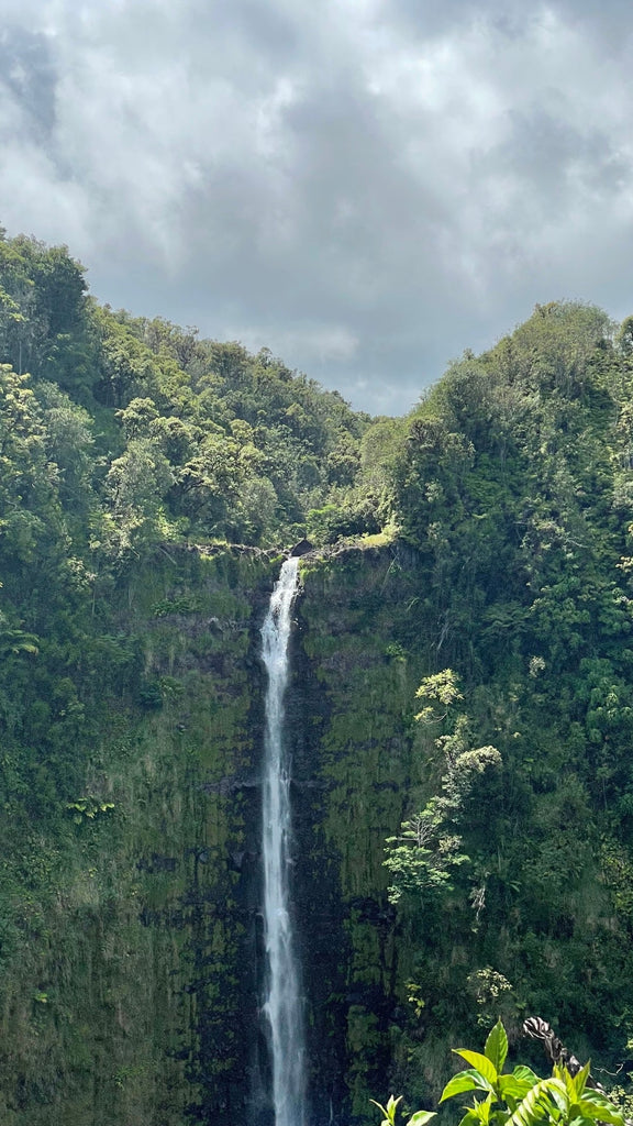 Ashley's photograph of a beautiful Hawaii waterfall.