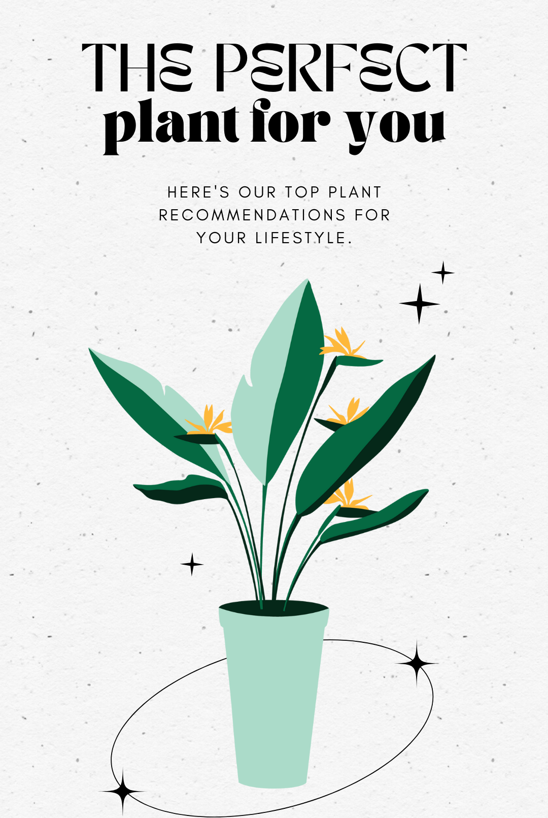 "The Perfect Plant For You" Graphic