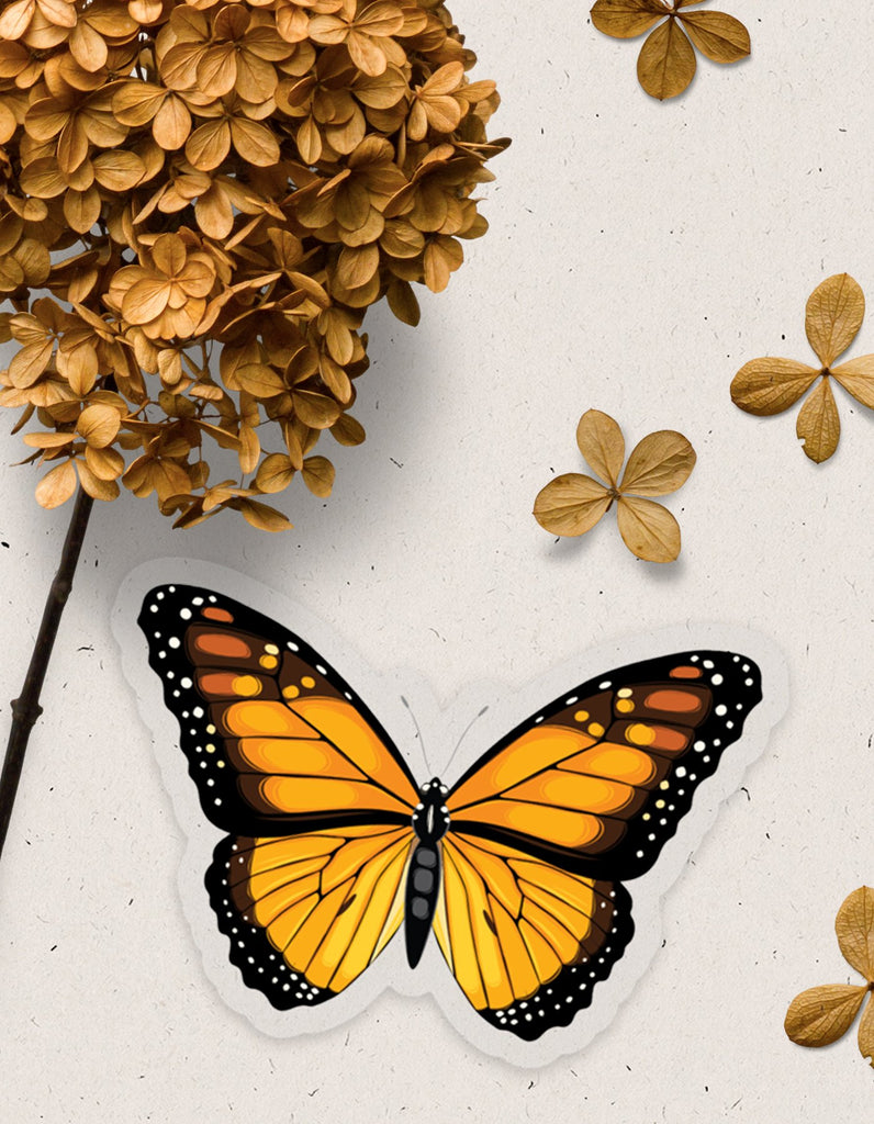 love fitness butterfly sticker in the beautiful orange hues