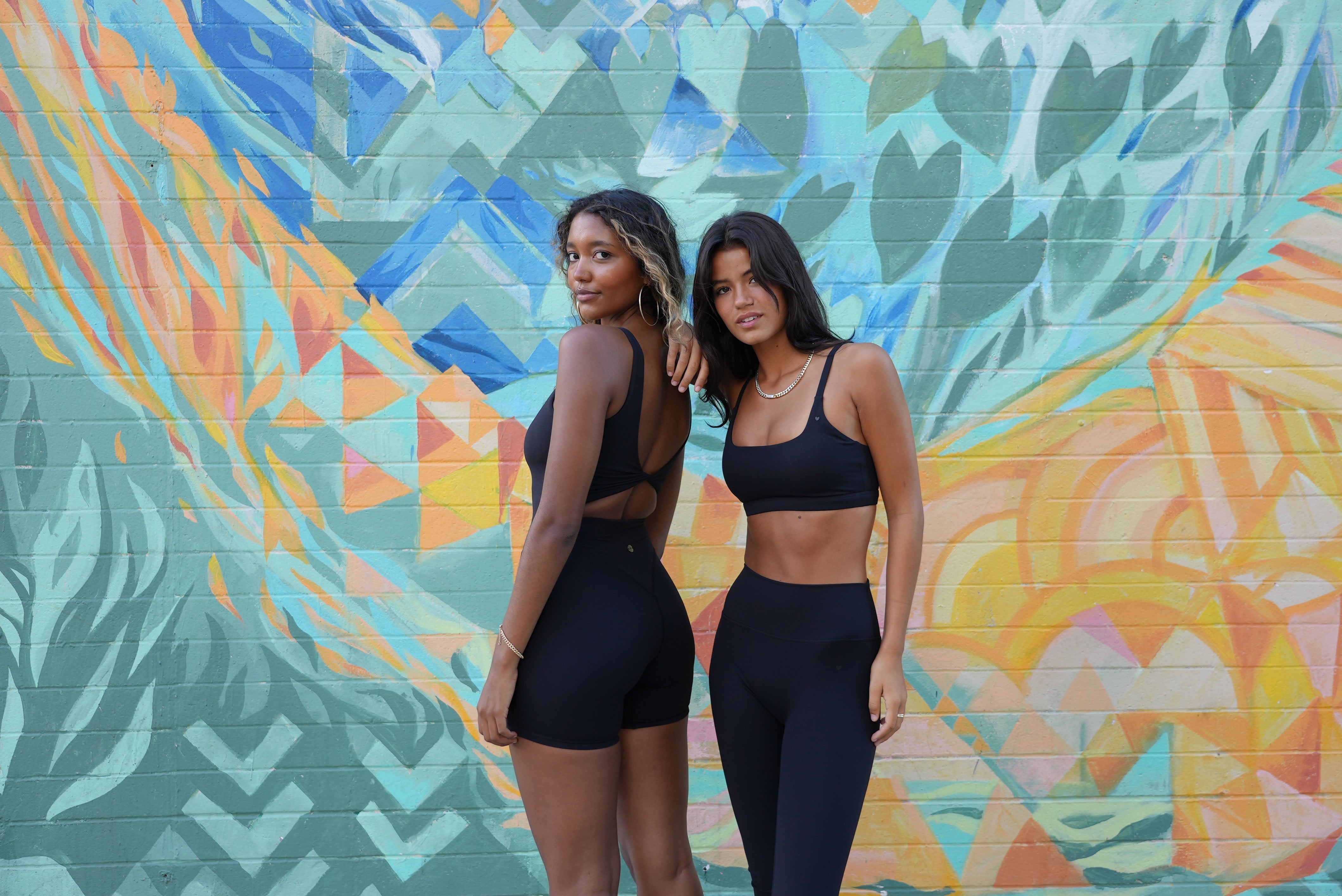 Meet our Daydream Collection